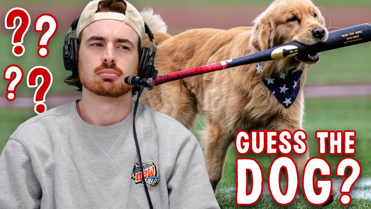Can we guess the MLB player from their dog? (MLB Hardest Trivia)
