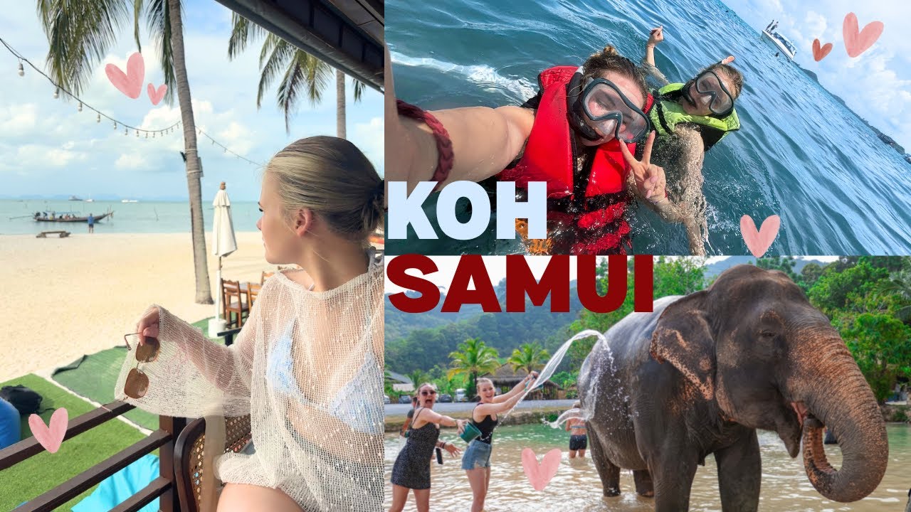 PIG ISLANDS, GOING OUT & ELEPHANT SANCTUARY | Travel Diaries