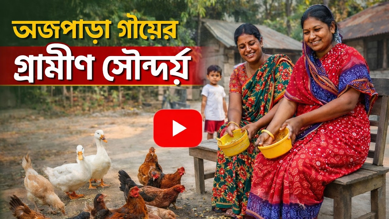 অজপাড়া গায়ের গ্রামীণ সৌন্দর্য । The rural beauty of Ajpara. Daily Vloge.