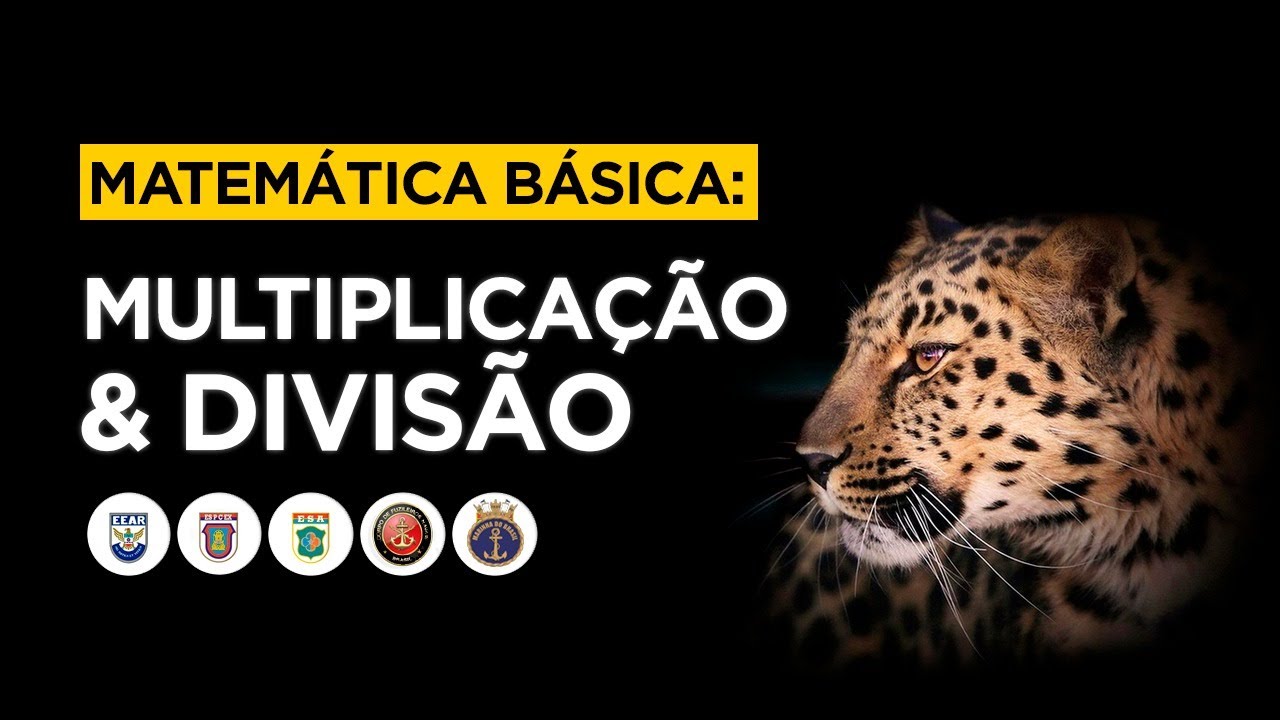 MATEMÁTICA BÁSICA - AULA 02 (MULTIPLICAÇÃO E DIVISÃO)