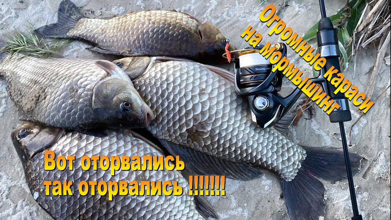 Мормышинг. Ох и оторвались по крупному карасю