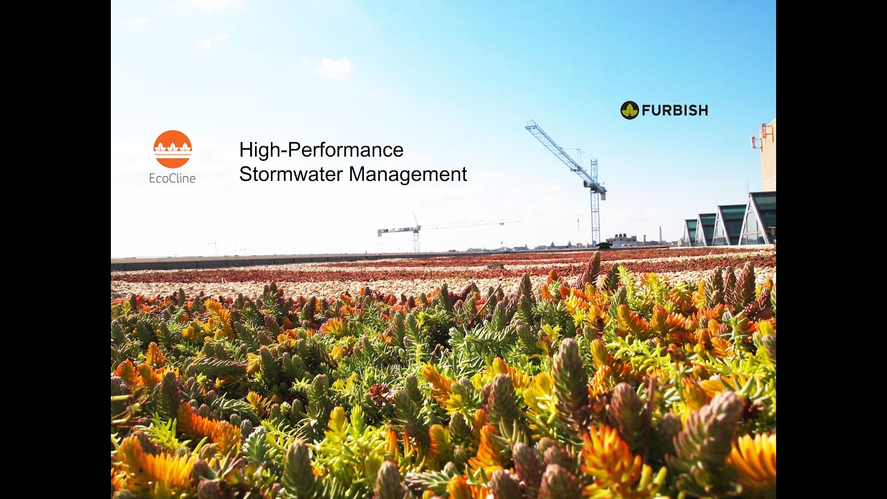 Stormwater Management with EcoCline: Mineral wool in green roofs