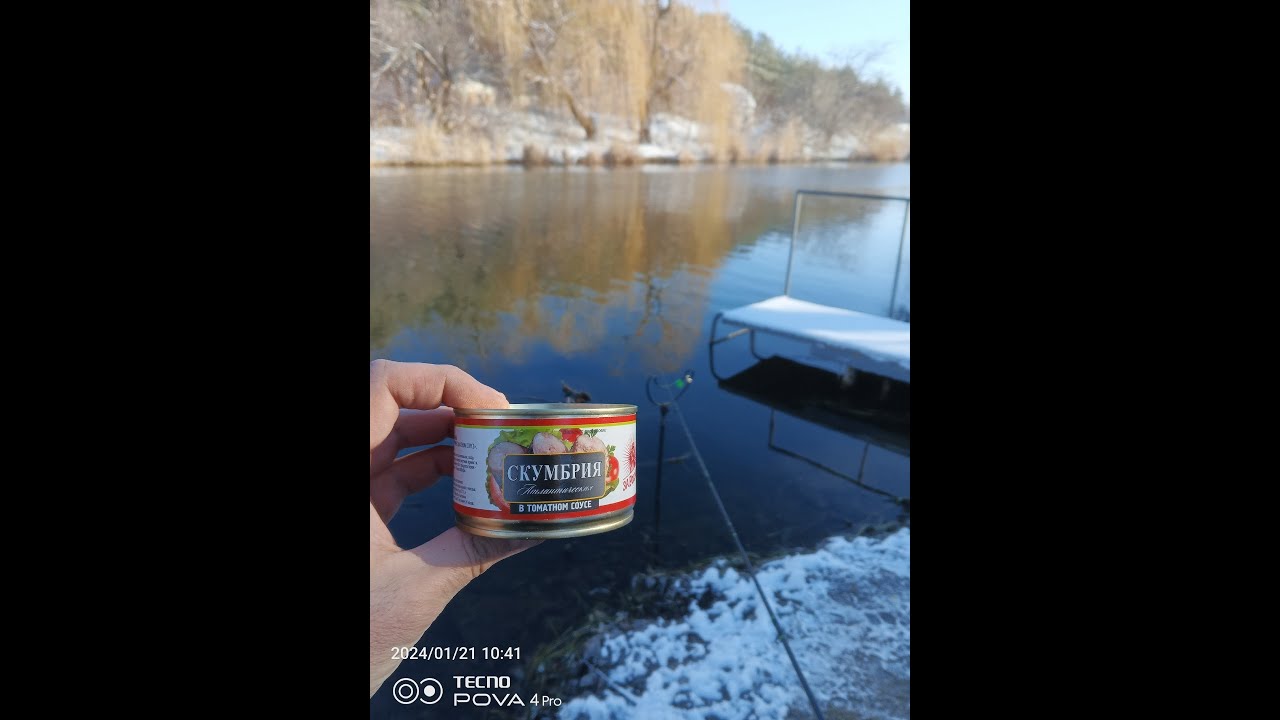 Скумбрия на рыбалке.