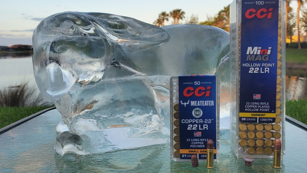 Это лучший 22LR для мелкой дичи? CCI Copper против Mini-Mag Varmint