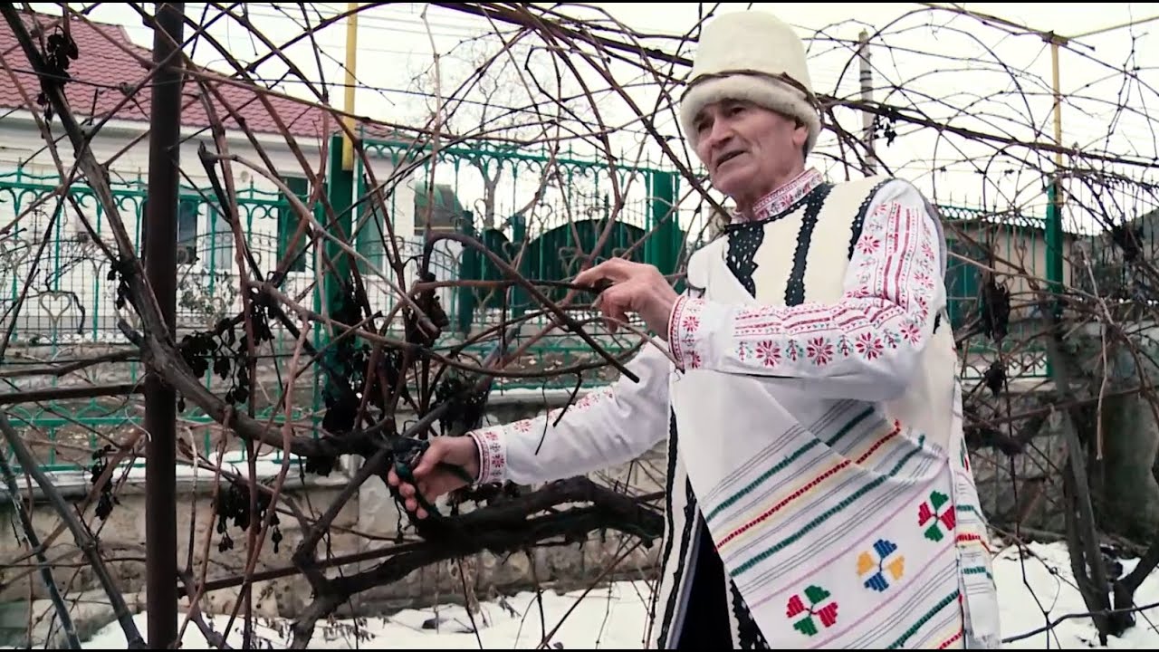 СПЕЦИАЛЬНЫЙ РЕПОРТАЖ | Трифон Зарезан: традиции и обычаи праздника