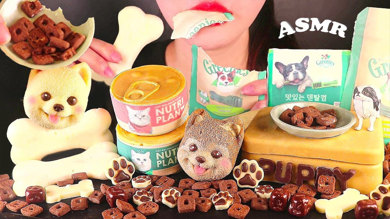 ASMR EDIBLE Cat & Dog Food Dessert 고양이 & 강아지 간식 먹방 eating sounds mukbang 초코 초콜릿 디저트 デザートチョコレート cake