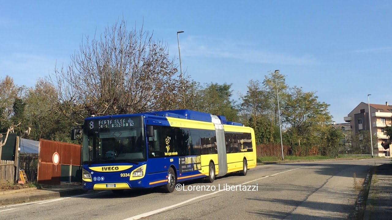 GTT 9334 - Linea 8
