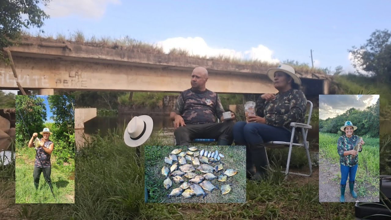 Impressionante, cardume de piranhas no Chicolomã 