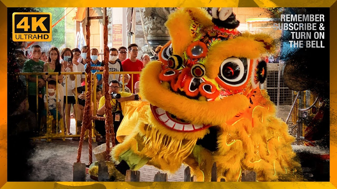 FINAL Traditional Lion Dance 2023 // 大山腳魚池區忠華龍獅團