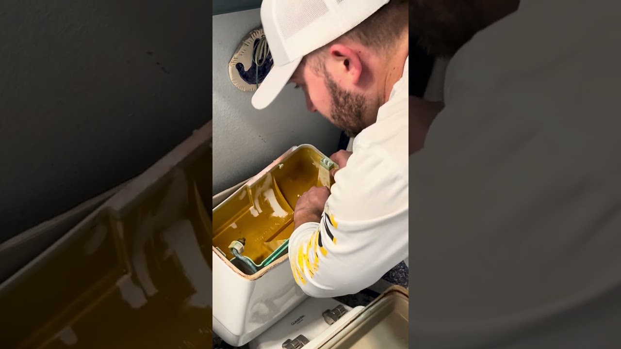 Replace Handle on Glacier Bay Flapperless Toilet