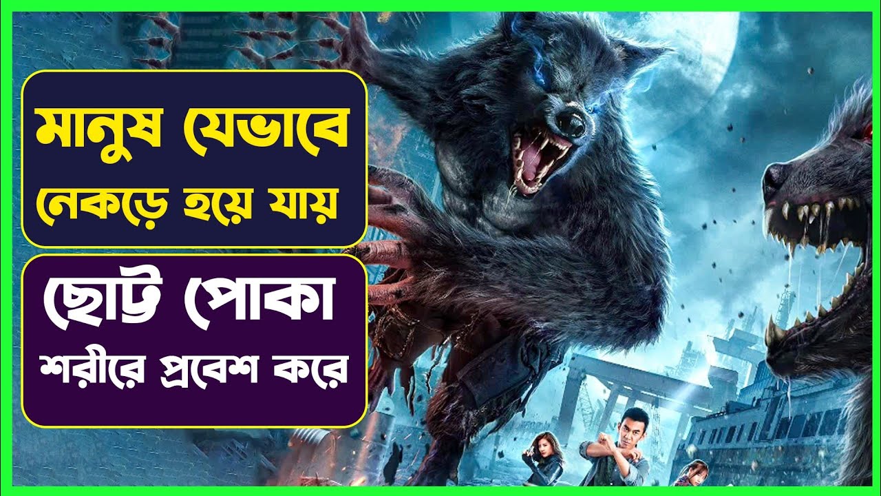 মানুষ যেভাবে নেকড়ে হয়ে যায় 😱 Movie Explained in Bangla | Cinemon animation | সিনেমন