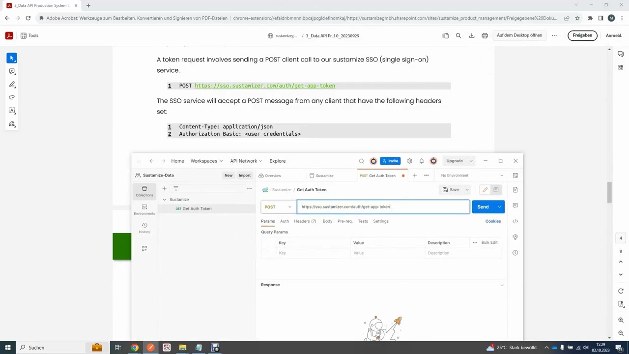 How to use sustamize Data APIs within Swagger UI