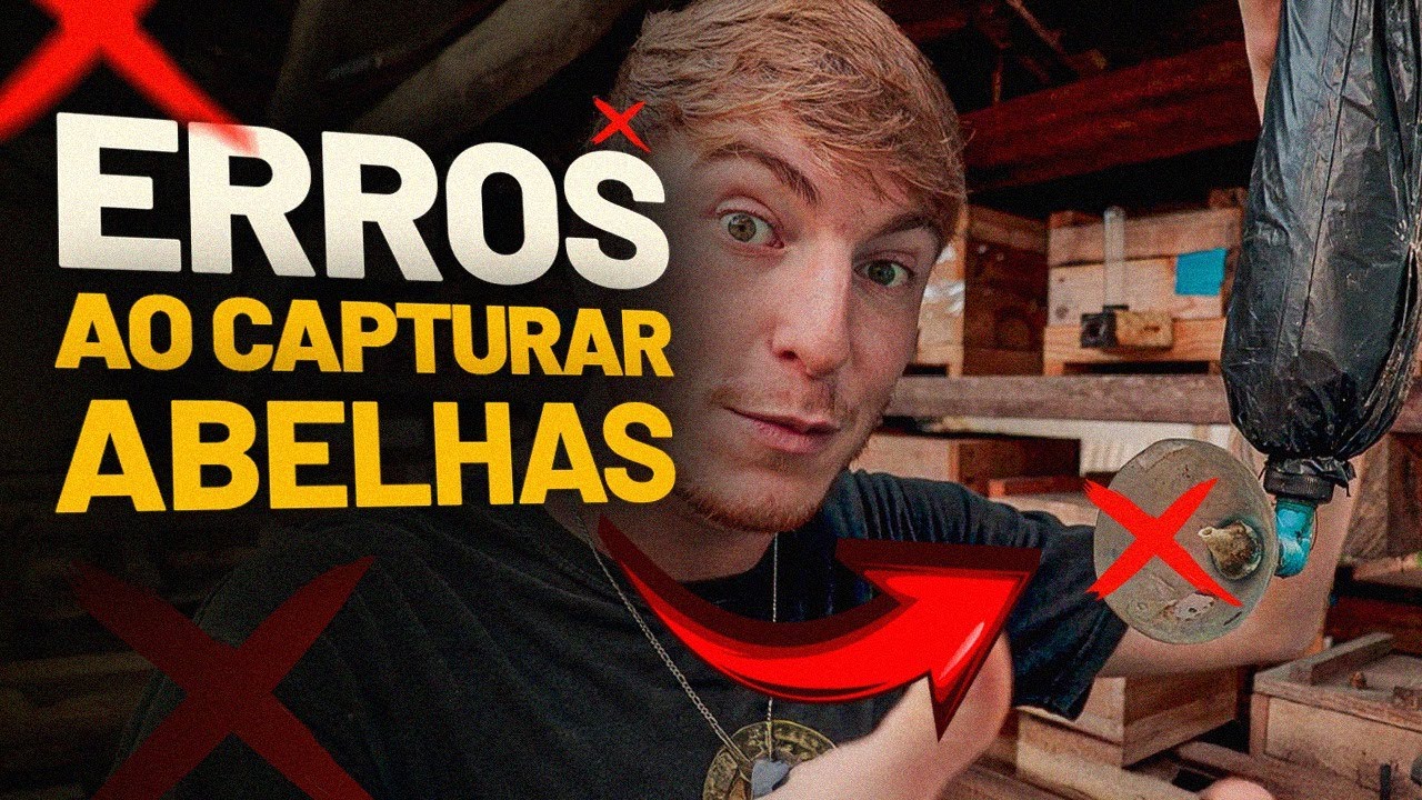4  ERROS que te impedem de CAPTURAR ABELHAS SEM FERRÃO