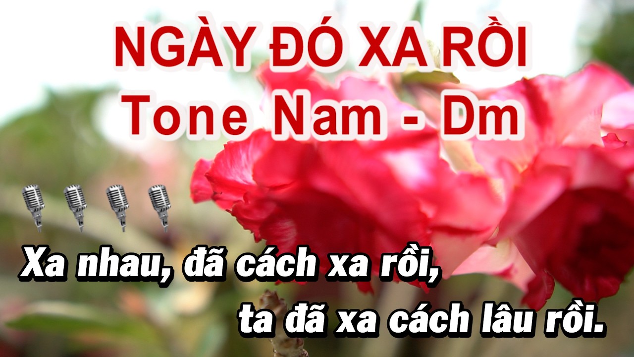 KARAOKE NGÀY ĐÓ XA RỒI tone Nam Dm II Hát Với Nhau Gia Bảo