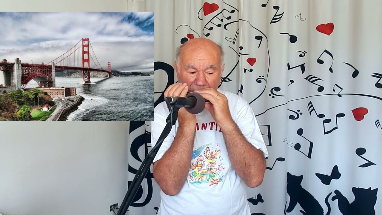 San Francisco (1967) Harmonica