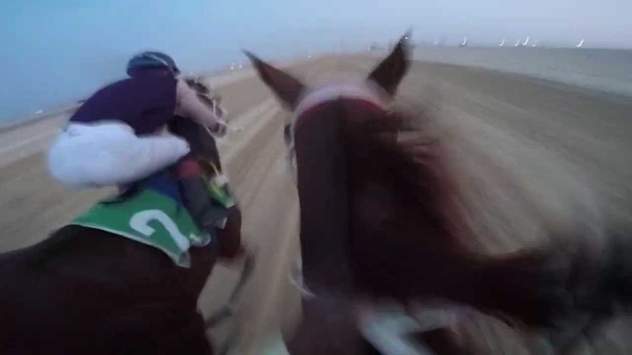 مكسب الحصان سايد من ميدان الجبيل خالد الرويشد ٢٤ / ٤ / ١٤٤٤