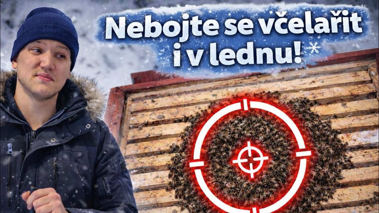 CÍL: 90kg medu na včelstvo  - Budování včelí farmy #78