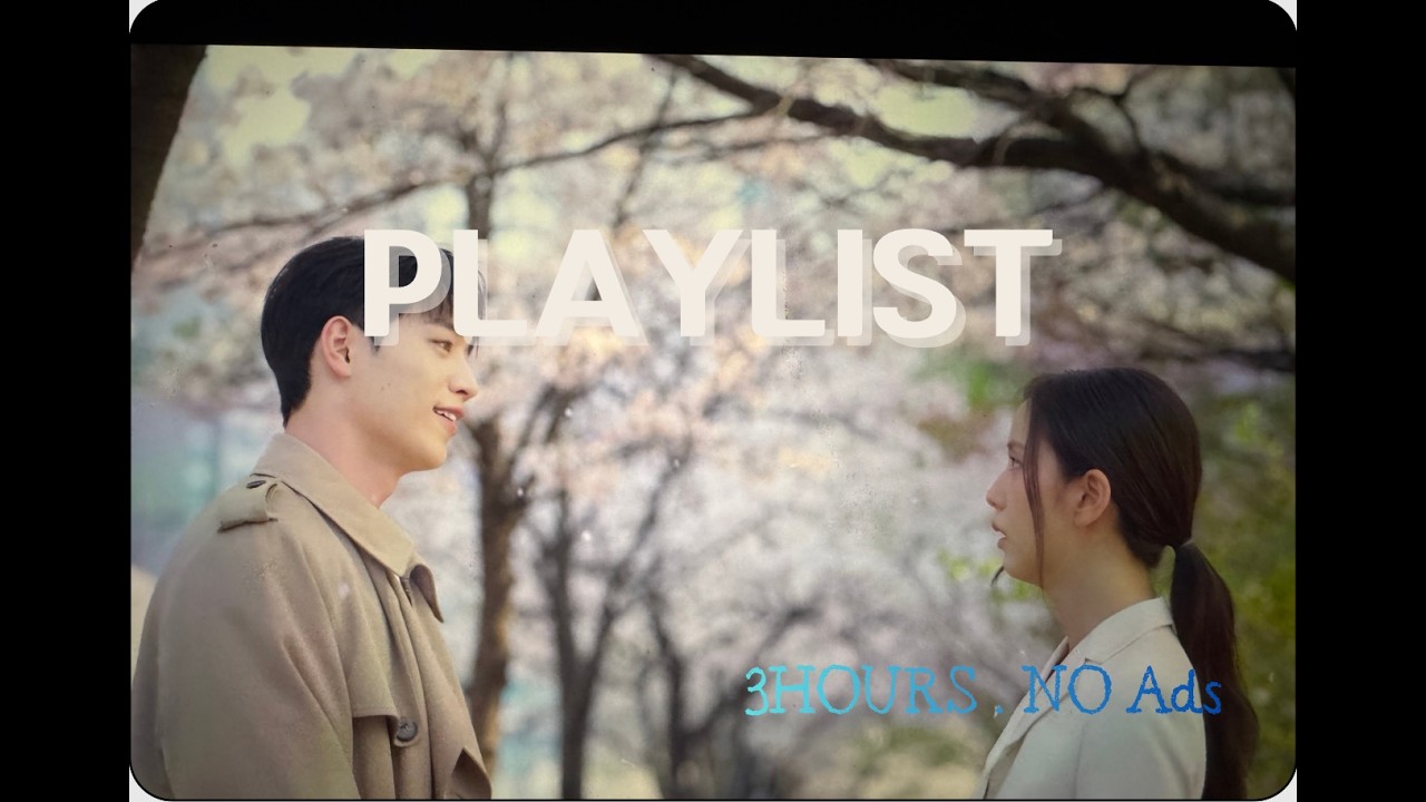 🎧 Playlist 벚꽃 흩날리는 봄날 드라이브 | 봄 감성 Lo-fi 음악 3시간 🌸Spring Drive Under Cherry Blossoms