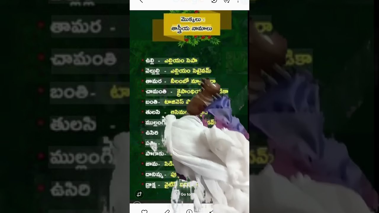 రమణి ఫ్యాషన్స్ ఆయుర్వేదం కొషన్స్ వెల్కమ్ టు మైలైవ్