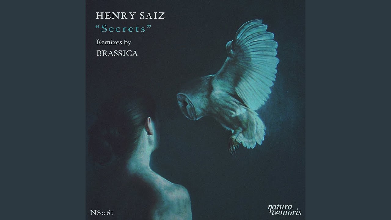 Secrets (Brassica Remix)