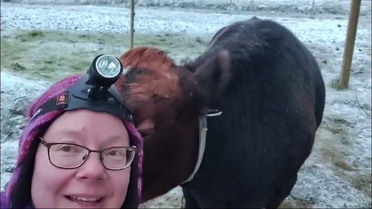 Katis Pet Farm Ry; mistä kaikki alkoi lokakuussa 2023