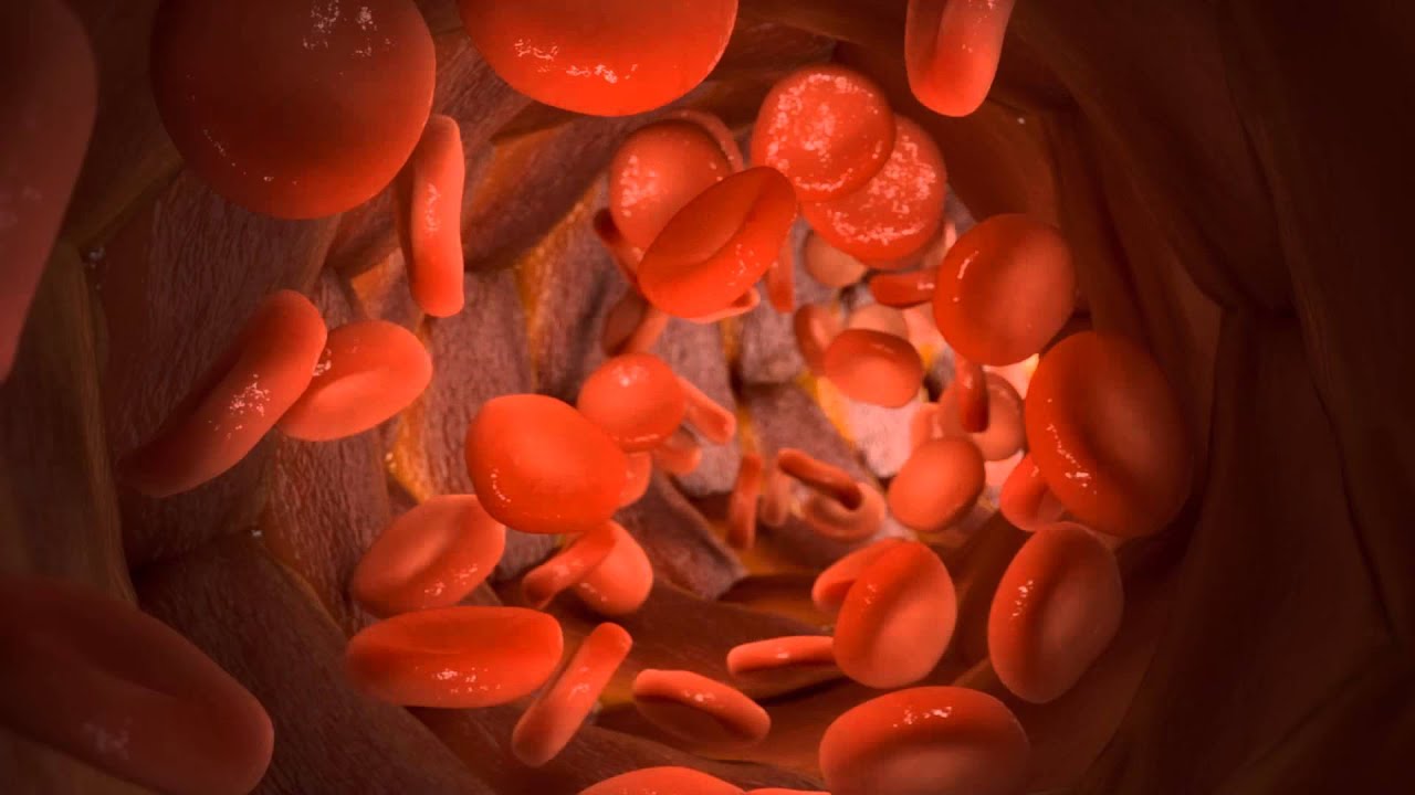 3D Medical Animation : Medical Explainer Video Production