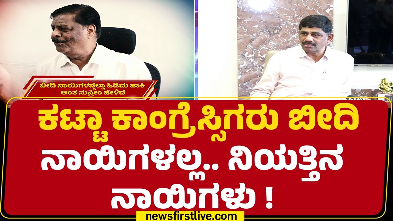 DK Suresh : ಕಟ್ಟಾ ಕಾಂಗ್ರೆಸ್ಸಿಗರು ಬೀದಿನಾಯಿಗಳಲ್ಲ.. ನಿಯತ್ತಿನ ನಾಯಿಗಳು  | Congress |@newsfirstkannada