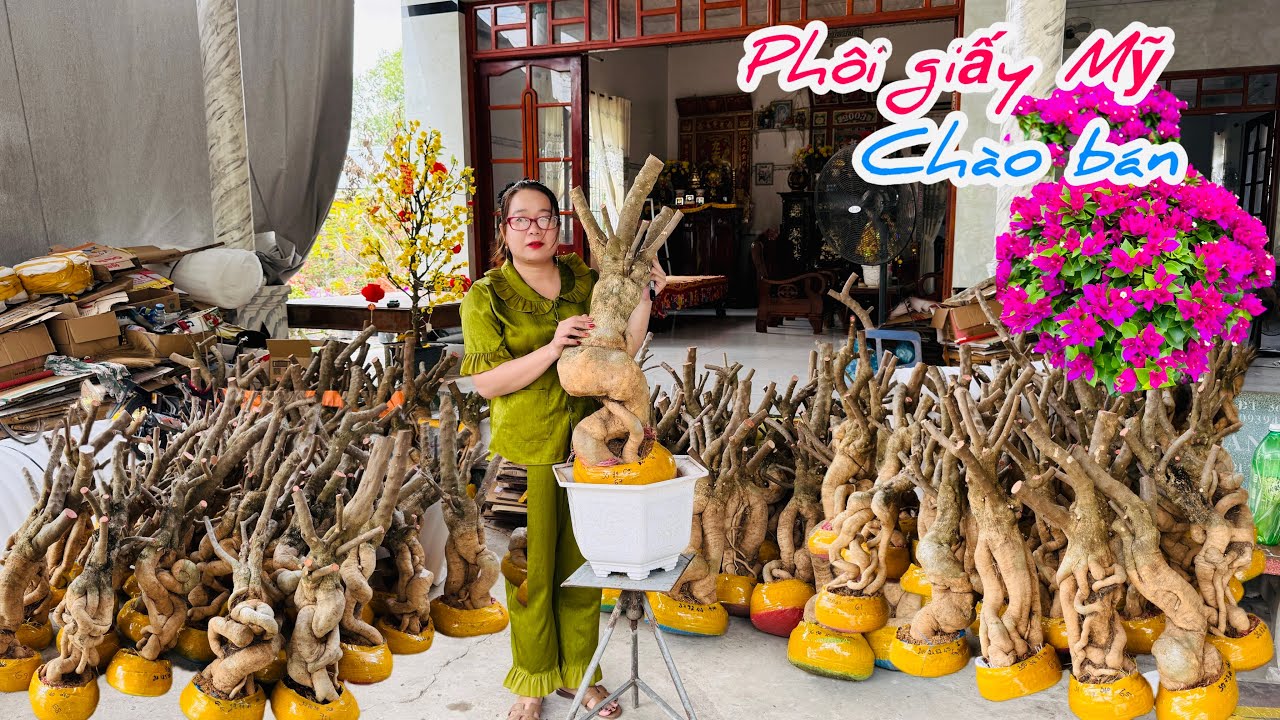 Phôi giấy Mỹ đế sạch đẹp giá tốt chào bán bao ship..21/02😘📲 0772.119.600.Quỳnh-Như 