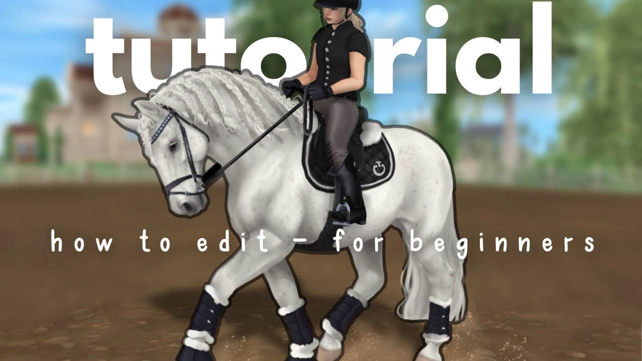 star stable online BEGINNER editing tutorial!