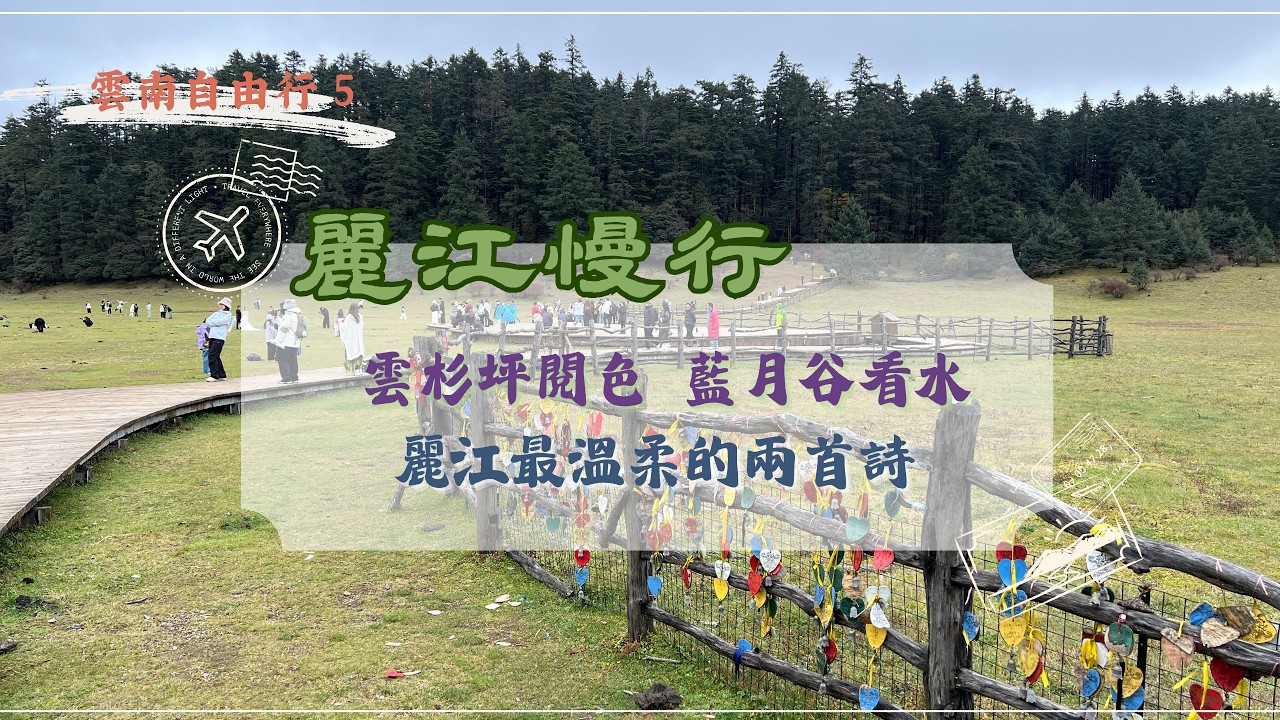 [ 雲南自由行 5 ] 在雲杉坪閱色，在藍月谷看水，麗江最溫柔的兩首詩