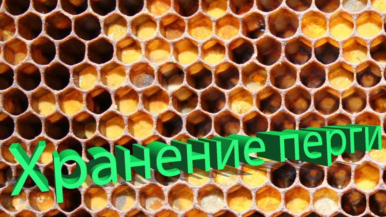 Профессор Кашковский про хранение перги