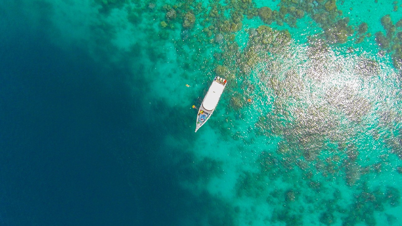 Ocean Breeze Bossa Nova: Relaxing Music for Your Seaside Tranquility