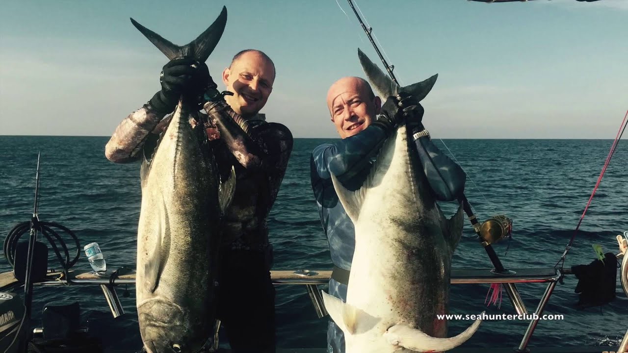 Spearfishing SAFARI PHUKET (04.01.2016)