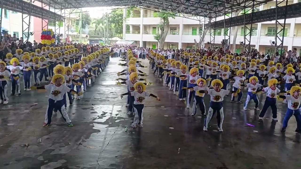 Grade 3 Field Demonstration 2024