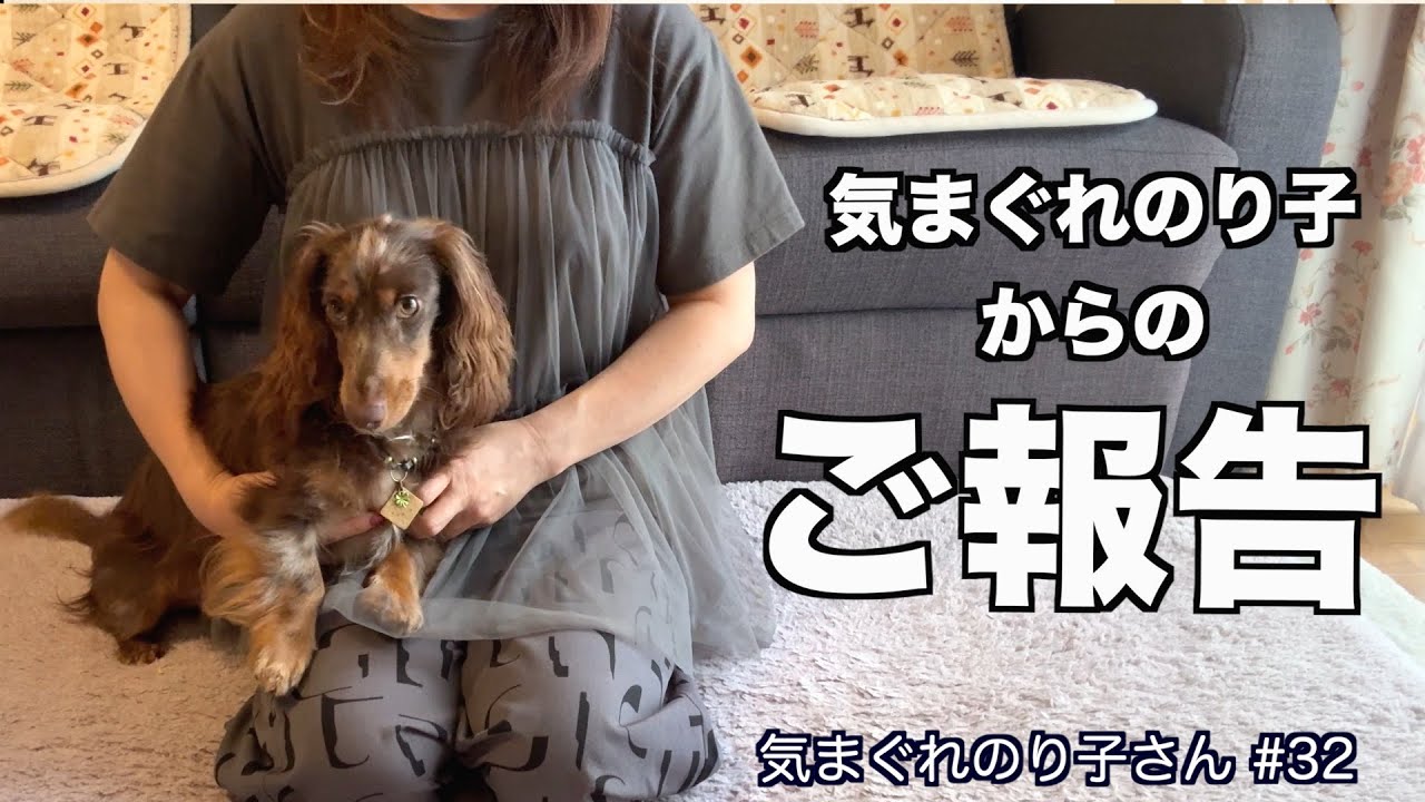 【ご報告】㊗️YouTube１周年を迎えました！🎊心から感謝の気持ちでいっぱいです❣️ありがとうございます❣️🎉