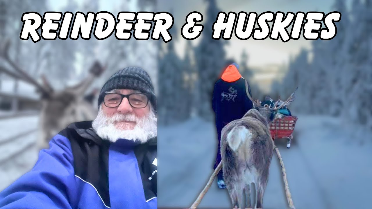 Reindeer Sleigh Ride & Husky Adventure in Lapland 🦌🐕 | A Dream Come True