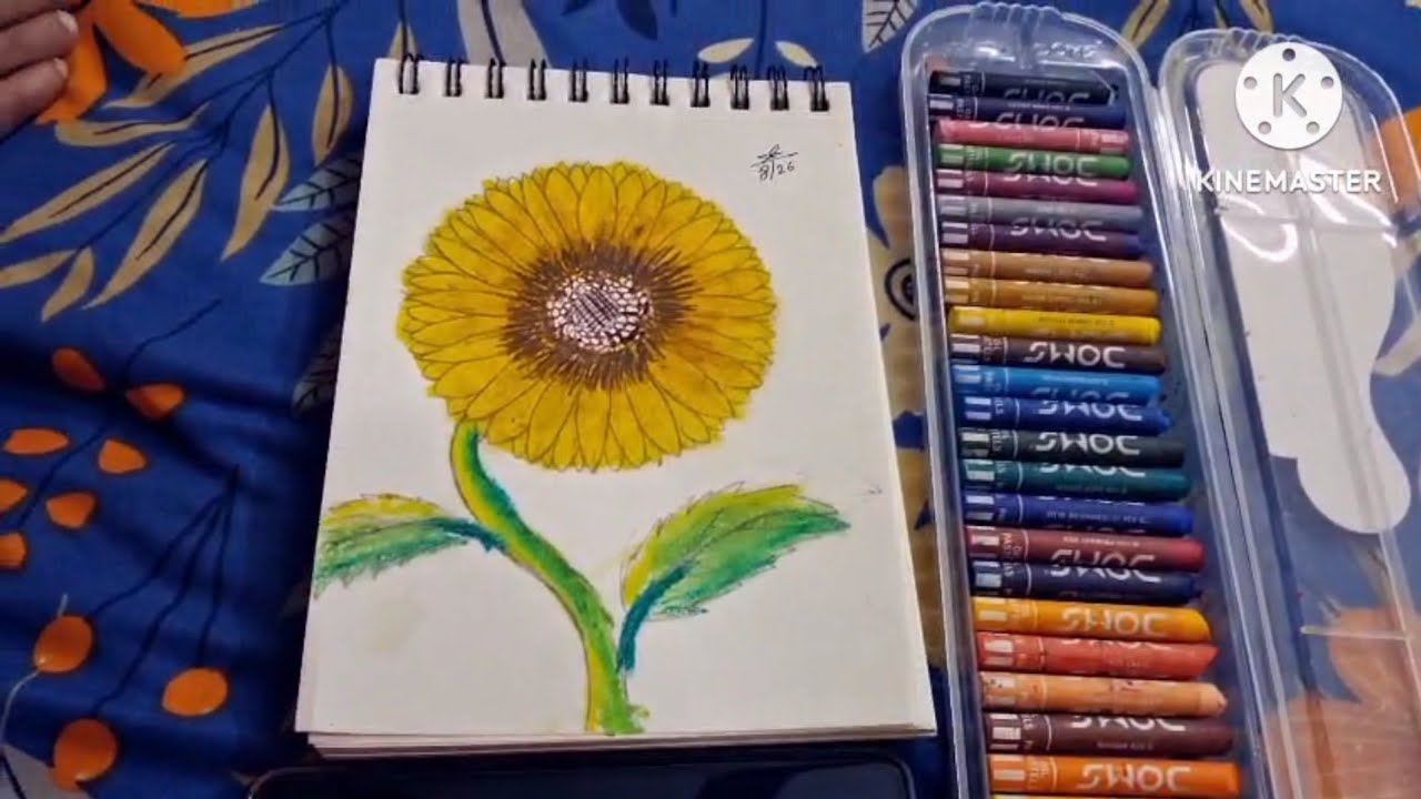 Sunflower  drawing 