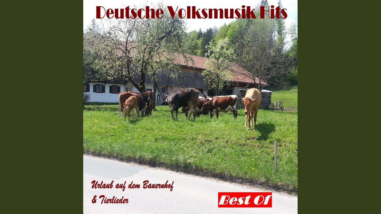 Bin i net a scheena Hoh