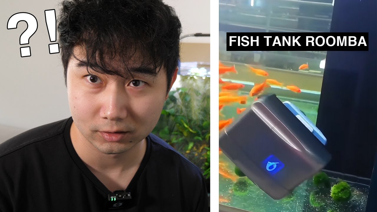 CRAZY Fish Tank Videos | Fish Tank Review 304