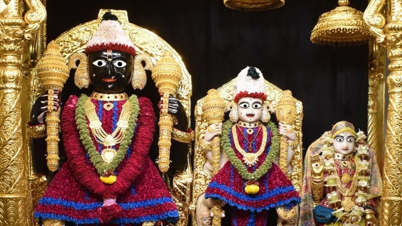 આજ દસ ધામ ના દેવો ના શણગાર દર્શન 🧿 વડતાલ ધામ ના દર્શન 🙏 તારીખ:૦૨/૦૧/૨૦૨૫ 