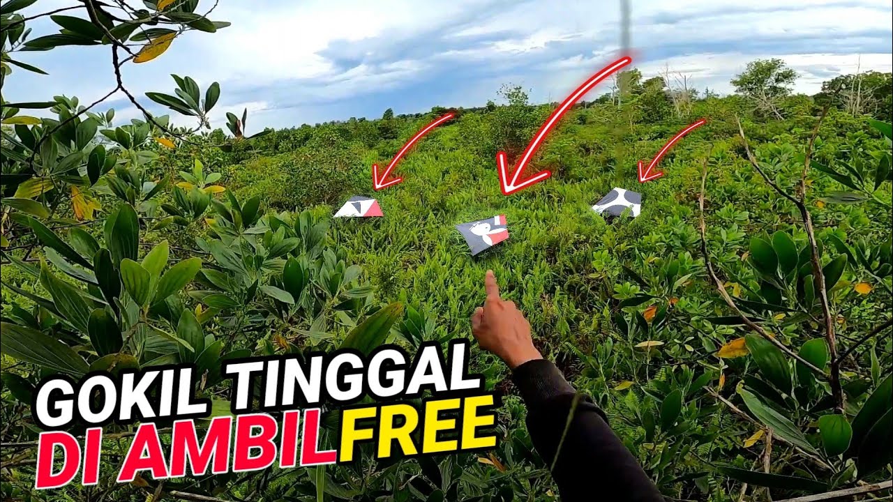 BEGINI RASA NYA TERSESAT DI LOKASI SURGA NYA LAYANGAN BESAR !!