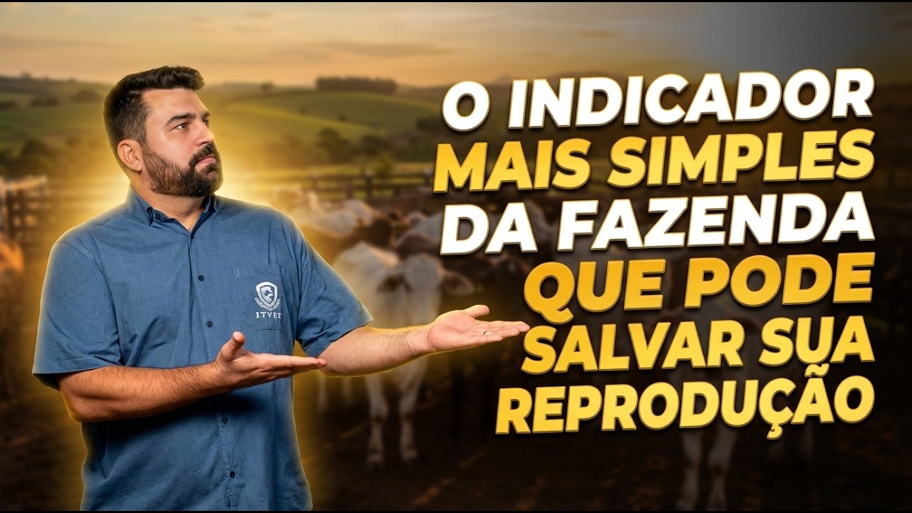 ECC na prática: o detalhe visual que explica vaca magra, vaca gorda e prejuízo escondido