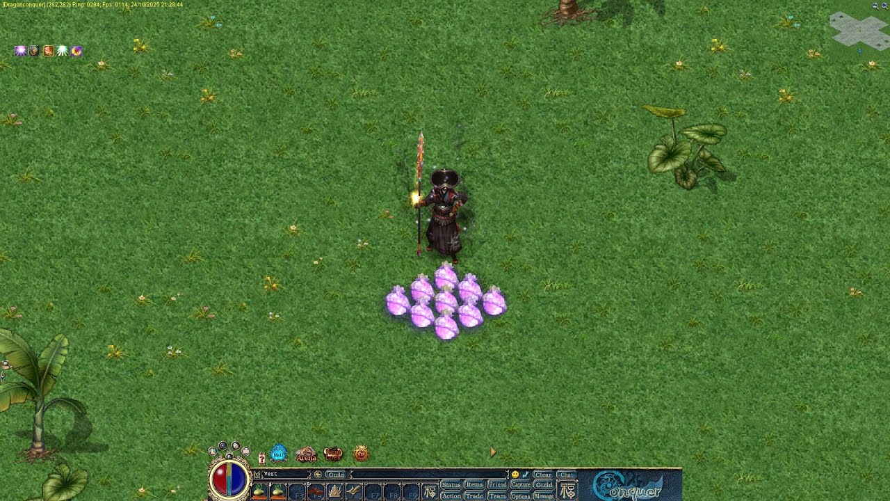 DRAGON CONQUER , EJDERHA FETHİ , دراجون كونكر 2025