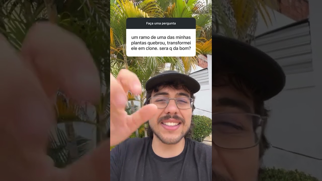 RAMO da MACONHA QUEBROU (d&aacute; pra virar um clone?)