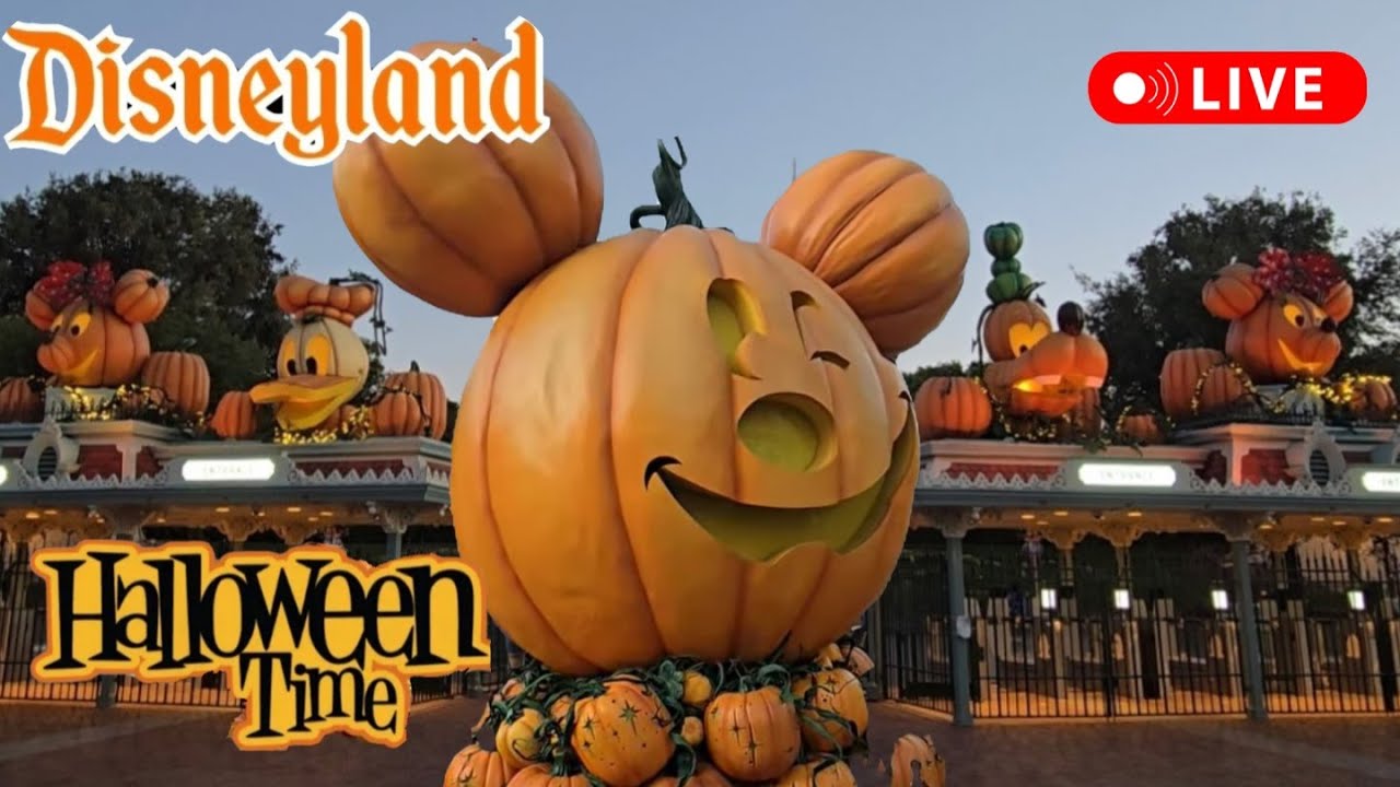 Disneyland Halloween Race DISNEY  Relaxing Fun Day Rides Shows #livestream