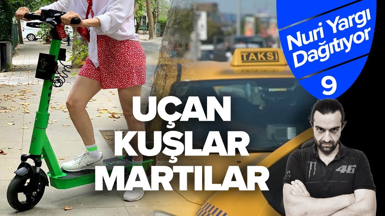 Uçan Kuşlar Martılar | Nuri Yargı Dağıtıyor #9