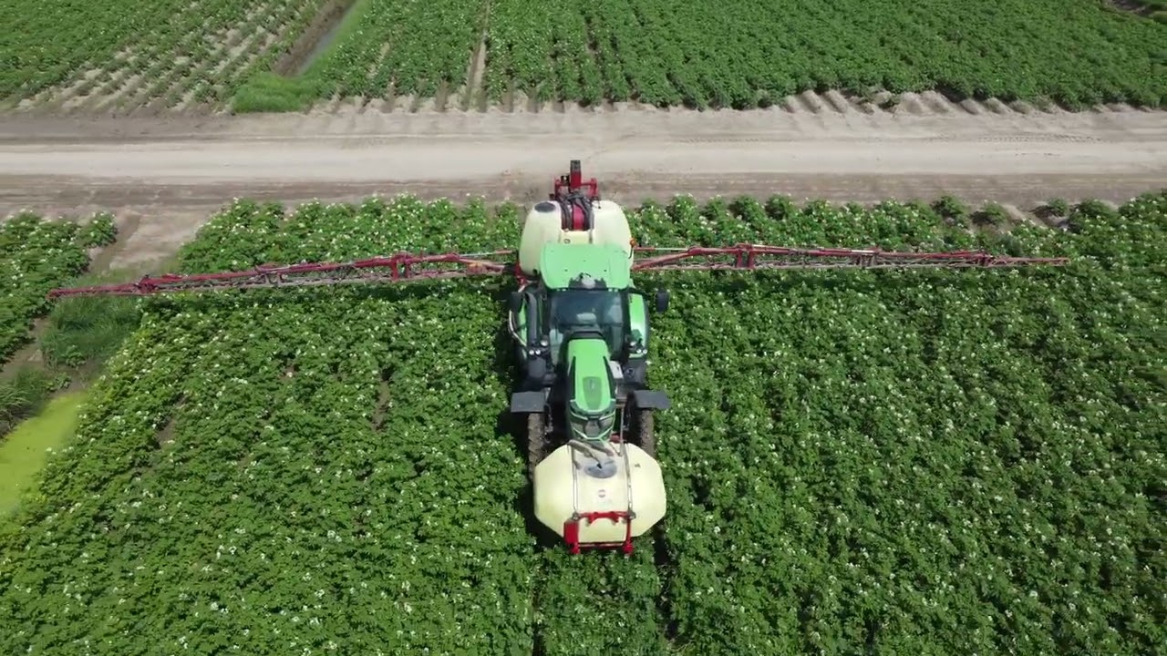 TRATTAMENTO PATATE DEUTZ E HARDI