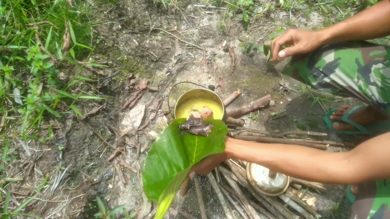 Masak ikan dihutan sendirian #fypシ゚viral #funny #pagewaris