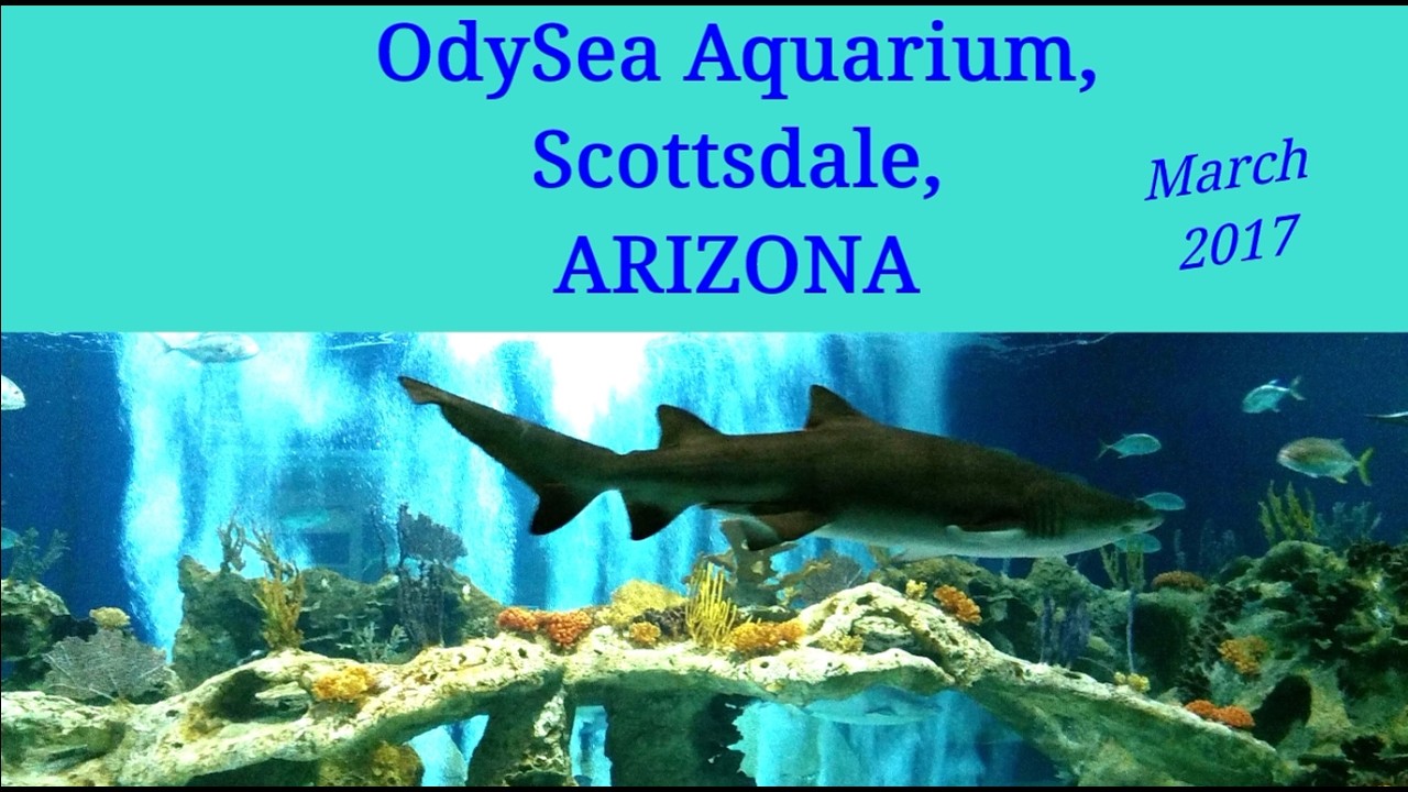Arizona Scottsdale OdySea Aquarium 2017
