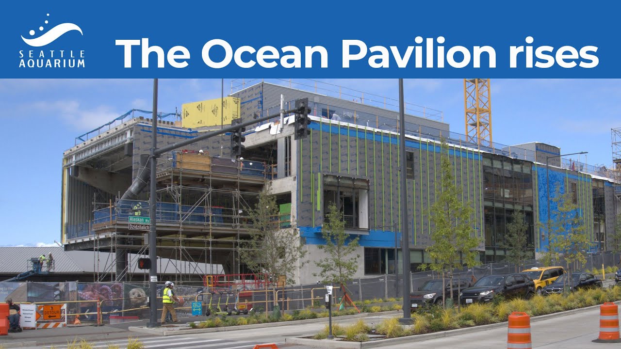 The Ocean Pavilion rises